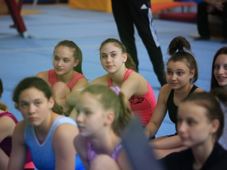 Tornászok fogadása az Eb után - fotó: 