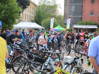 37. Bringatúra - fotó: 