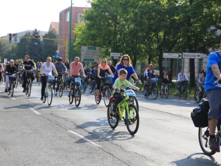 37. Bringatúra - fotó: 