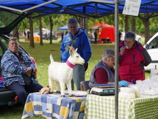 Bőséges kínálat a Szalki-szigeten - fotó: 