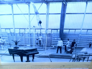 Közösségi fesztiválképtár - fotó: 