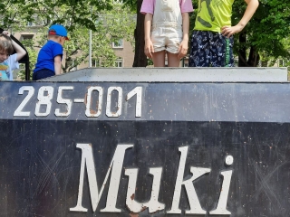 Közösségi fesztiválképtár - fotó: 