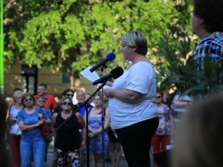 Demonstráció a státusztörvény ellen - fotó: 