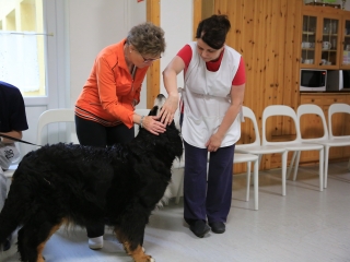 Önkéntesek nyara és önkéntesek hete a Jószoliban - fotó: 