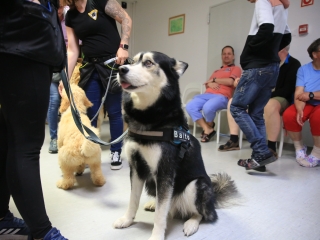 Önkéntesek nyara és önkéntesek hete a Jószoliban - fotó: 