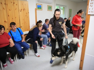 Önkéntesek nyara és önkéntesek hete a Jószoliban - fotó: 