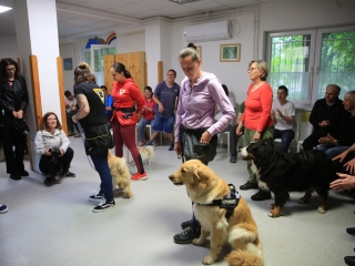 Önkéntesek nyara és önkéntesek hete a Jószoliban - fotó: 