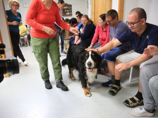 Önkéntesek nyara és önkéntesek hete a Jószoliban - fotó: 