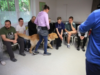 Önkéntesek nyara és önkéntesek hete a Jószoliban - fotó: 