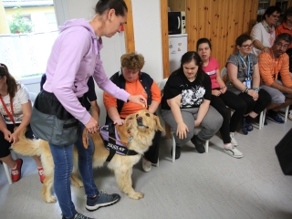 Önkéntesek nyara és önkéntesek hete a Jószoliban - fotó: 