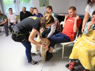 Önkéntesek nyara és önkéntesek hete a Jószoliban - fotó: 