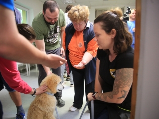 Önkéntesek nyara és önkéntesek hete a Jószoliban - fotó: 