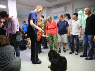 Önkéntesek nyara és önkéntesek hete a Jószoliban - fotó: 