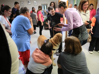 Önkéntesek nyara és önkéntesek hete a Jószoliban - fotó: 