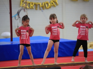 Fél évszázad öröksége – ünnepelt a tornacsarnok - fotó: 