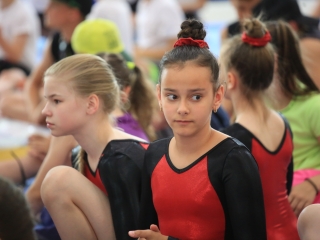 Fél évszázad öröksége – ünnepelt a tornacsarnok - fotó: 