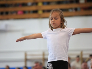 Fél évszázad öröksége – ünnepelt a tornacsarnok - fotó: 