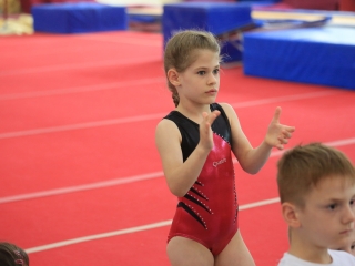 Fél évszázad öröksége – ünnepelt a tornacsarnok - fotó: 