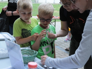 Múzeumok Éjszakája – három helyszínen - fotó: 