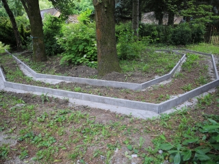 Természetvédelmi nyílt nap az arborétumban - fotó: 