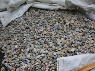 Természetvédelmi nyílt nap az arborétumban - fotó: 