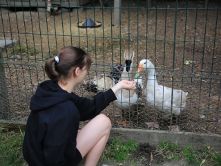 Természetvédelmi nyílt nap az arborétumban - fotó: 