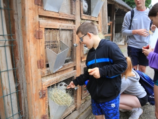 Természetvédelmi nyílt nap az arborétumban - fotó: 