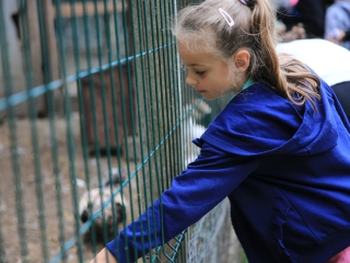 Természetvédelmi nyílt nap az arborétumban - fotó: 