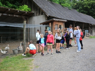 Természetvédelmi nyílt nap az arborétumban - fotó: 