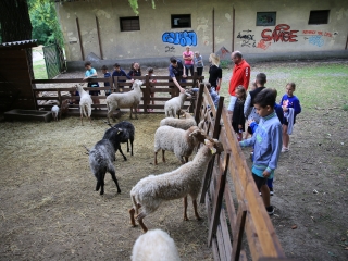 Természetvédelmi nyílt nap az arborétumban - fotó: 