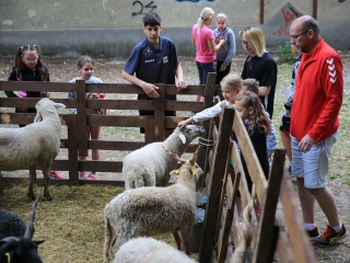 Természetvédelmi nyílt nap az arborétumban - fotó: 