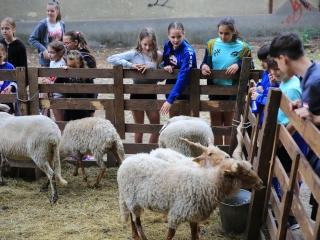 Természetvédelmi nyílt nap az arborétumban - fotó: 