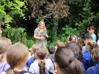 Természetvédelmi nyílt nap az arborétumban - fotó: 