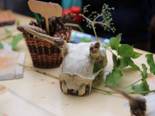 Természetvédelmi nyílt nap az arborétumban - fotó: 