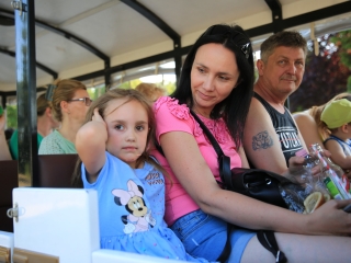 Programözön és tömegvonzás az I. Kalandpark Fesztiválon - fotó: 