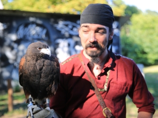 Kalandpark Fesztivál II. - fotó: 