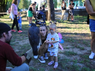 Kalandpark Fesztivál II. - fotó: 