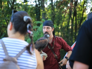 Kalandpark Fesztivál II. - fotó: 