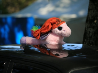 Bimmer Parádé a Szalki-szigeten - fotó: 