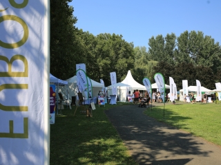 Újvárosi Fesztivál – a zászlóbontás képei - fotó: 