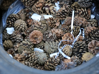 Nyárbúcsúztató Játékfesztivál (2023) - fotó: 