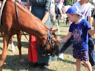 Zarándokok II. Lajos nyomában a Lajos-köveknél - fotó: 