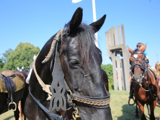 Zarándokok II. Lajos nyomában a Lajos-köveknél - fotó: 