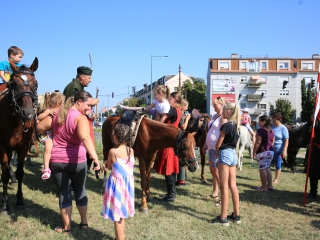 Zarándokok II. Lajos nyomában a Lajos-köveknél - fotó: 