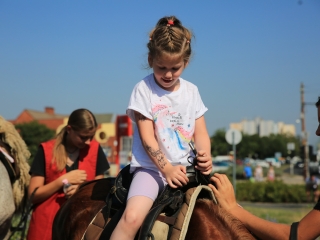 Zarándokok II. Lajos nyomában a Lajos-köveknél - fotó: 