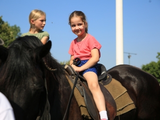 Zarándokok II. Lajos nyomában a Lajos-köveknél - fotó: 