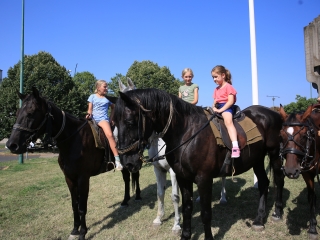 Zarándokok II. Lajos nyomában a Lajos-köveknél - fotó: 