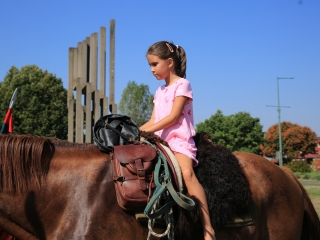 Zarándokok II. Lajos nyomában a Lajos-köveknél - fotó: 