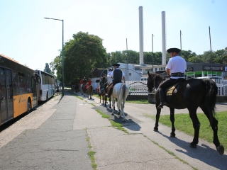 Zarándokok II. Lajos nyomában a Lajos-köveknél - fotó: 