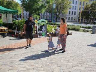 KönyvTér a Városháza téren (2023) - fotó: 